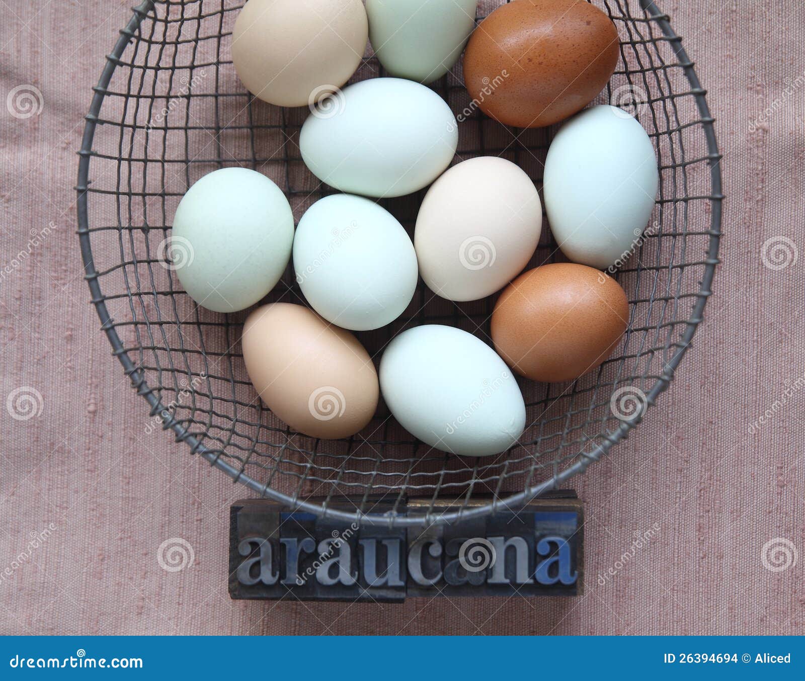 Natuurlijk Gekleurde Eieren Van Kippen Araucana Stock Foto Image eieren: 26394694