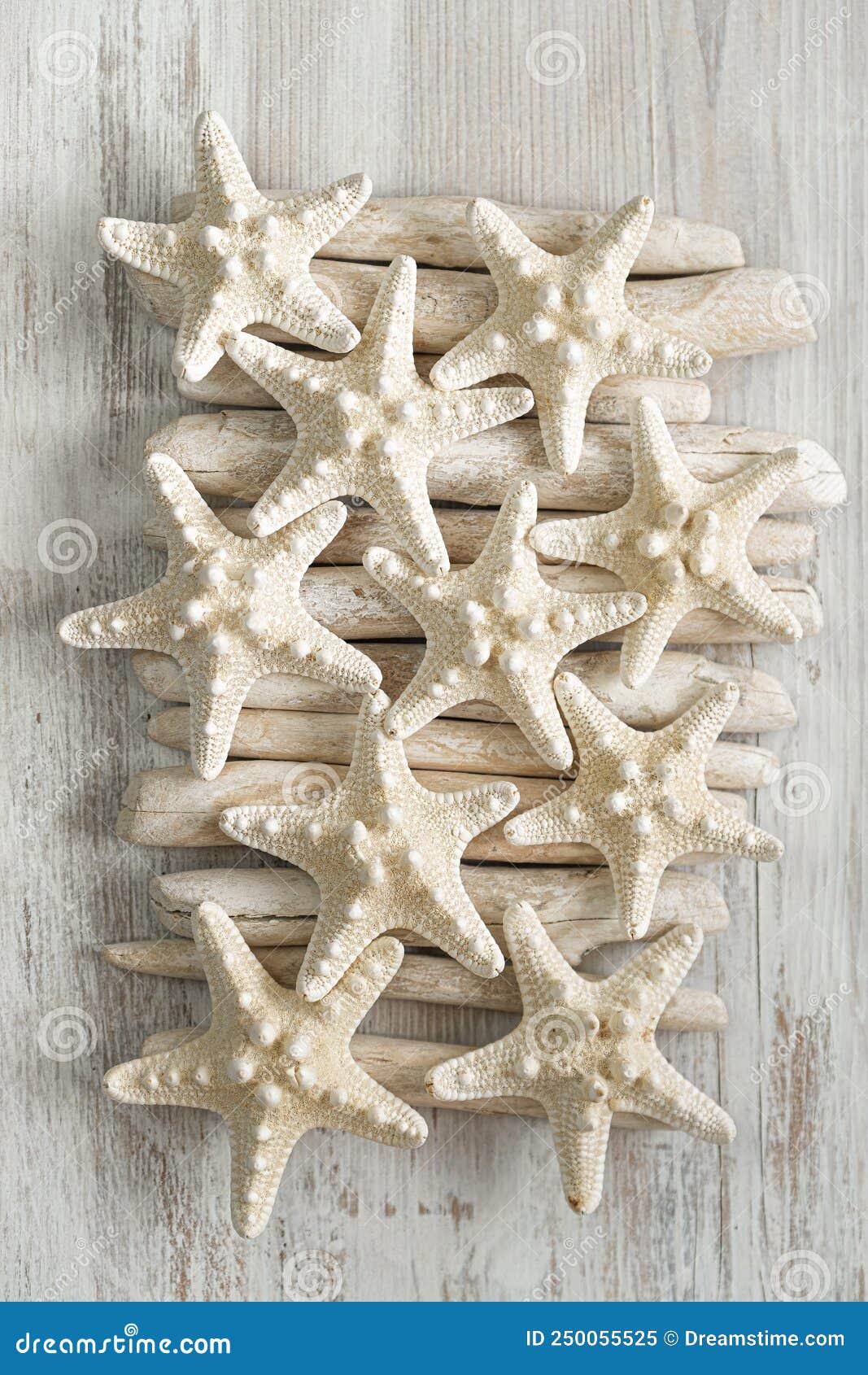 Sea Decoration Decoration, Natural Starfish Shells