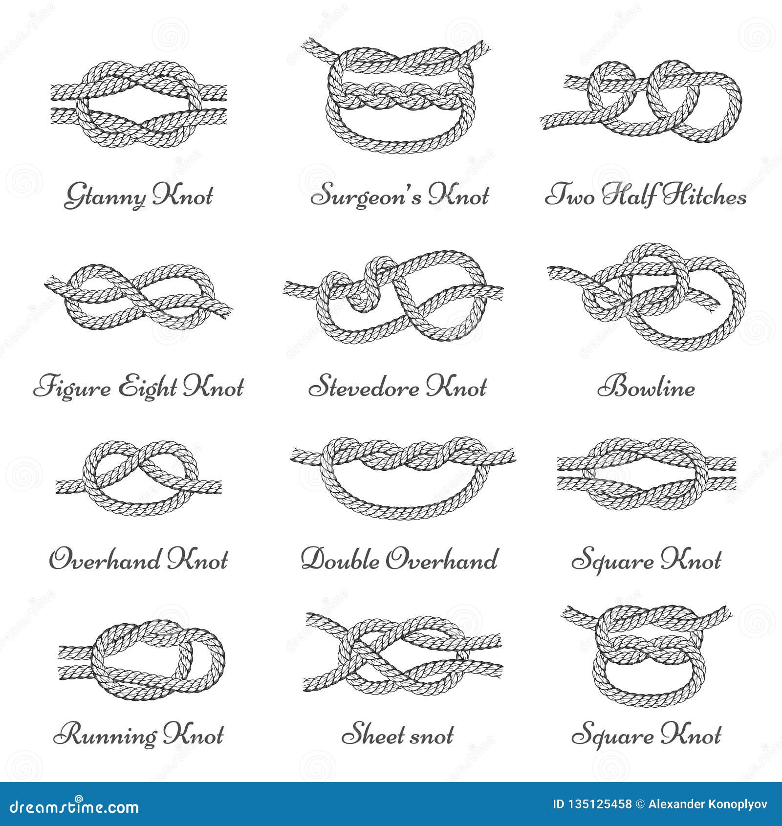 Nautical Decorative Rope Knots, Set with Names Stock Vector ...