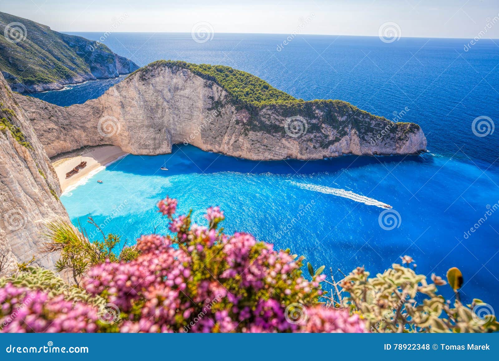navagio beach with shipwreck and flowers on zakynthos island in greece