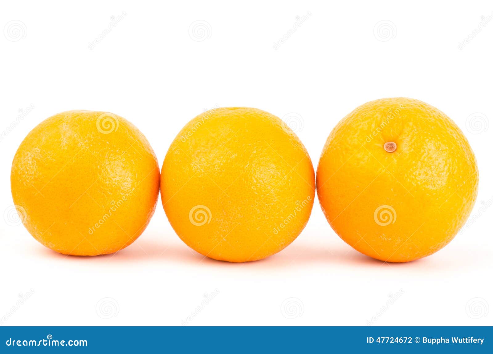 Navel orange fruit stock photo. Image of navel, care 47724672