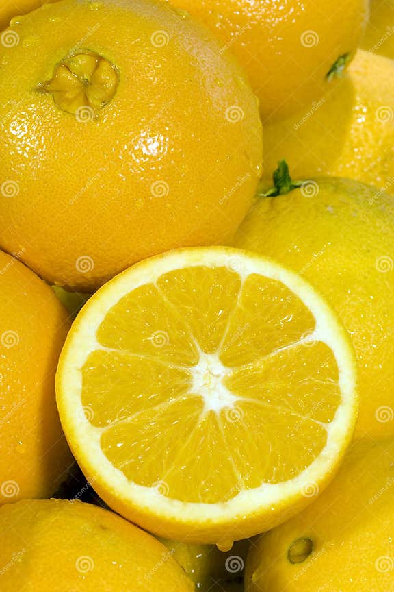 Navel Oranges stock image. Image of food, fresh, navel 17974873
