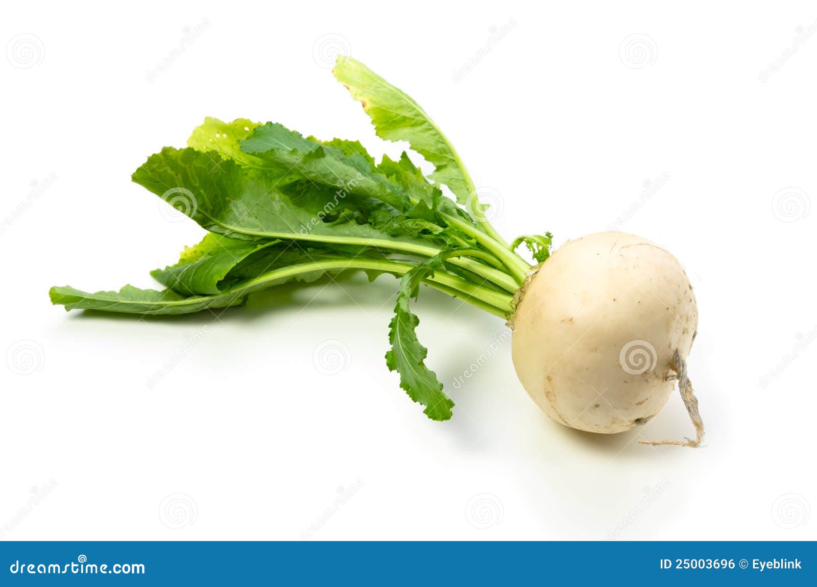 Navet photo stock. Image du cuisinier, navet, santé, sain 25003696