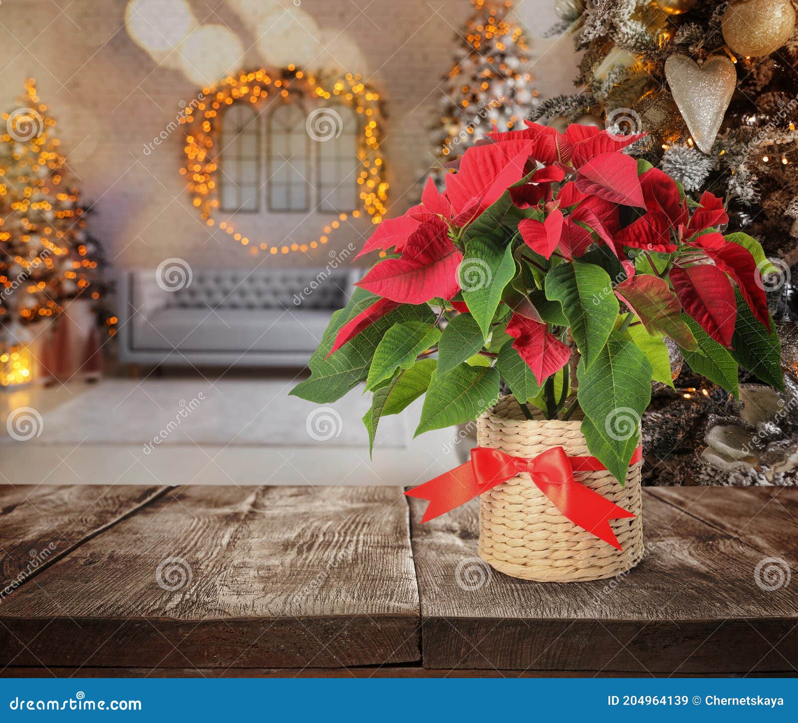 Navidad Tradicional Flor De Nochebuena En La Mesa En Espacio De Habitación  Decorado Para Texto Imagen de archivo - Imagen de planta, brillante:  204964139
