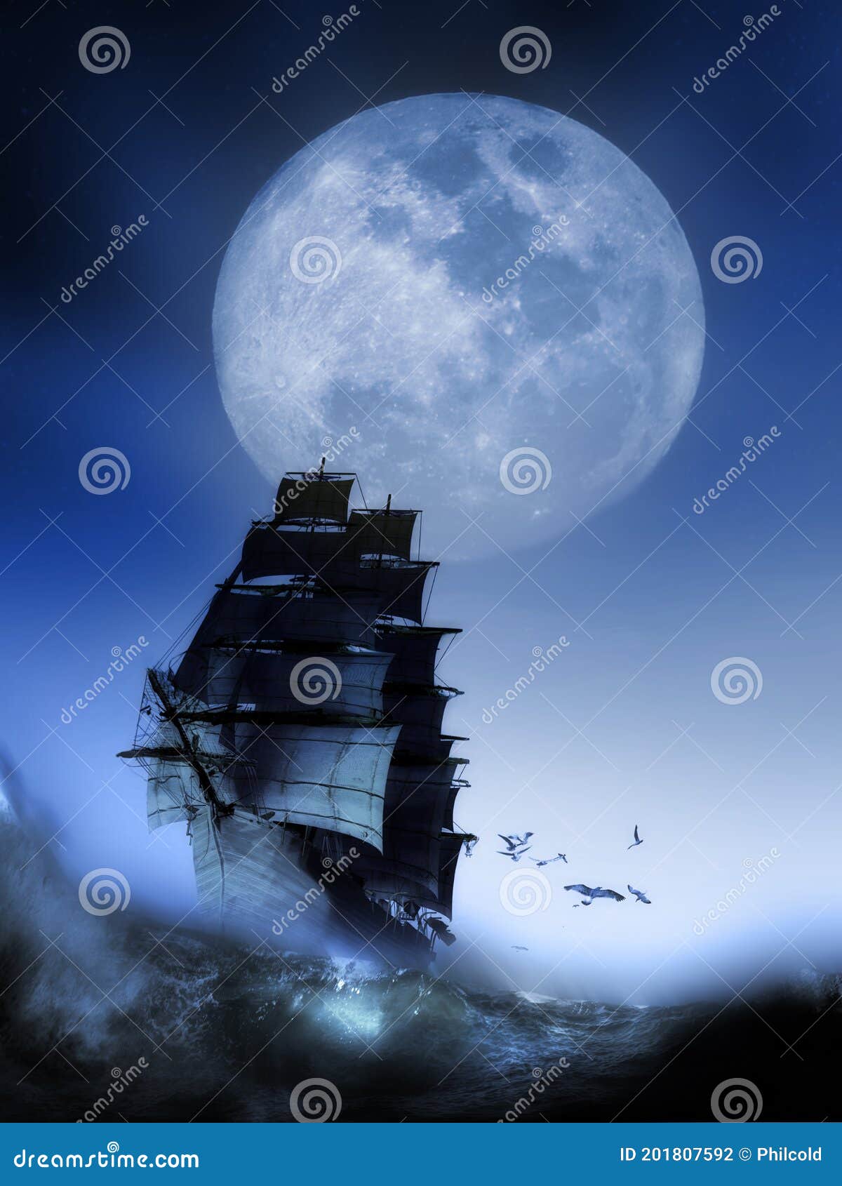 navigating under the moon