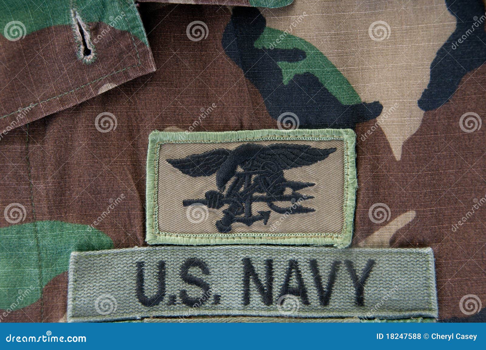 Seal Stock Photo - Download Image Now - United States Navy SEALs, US Navy,  Trident - Spear - iStock