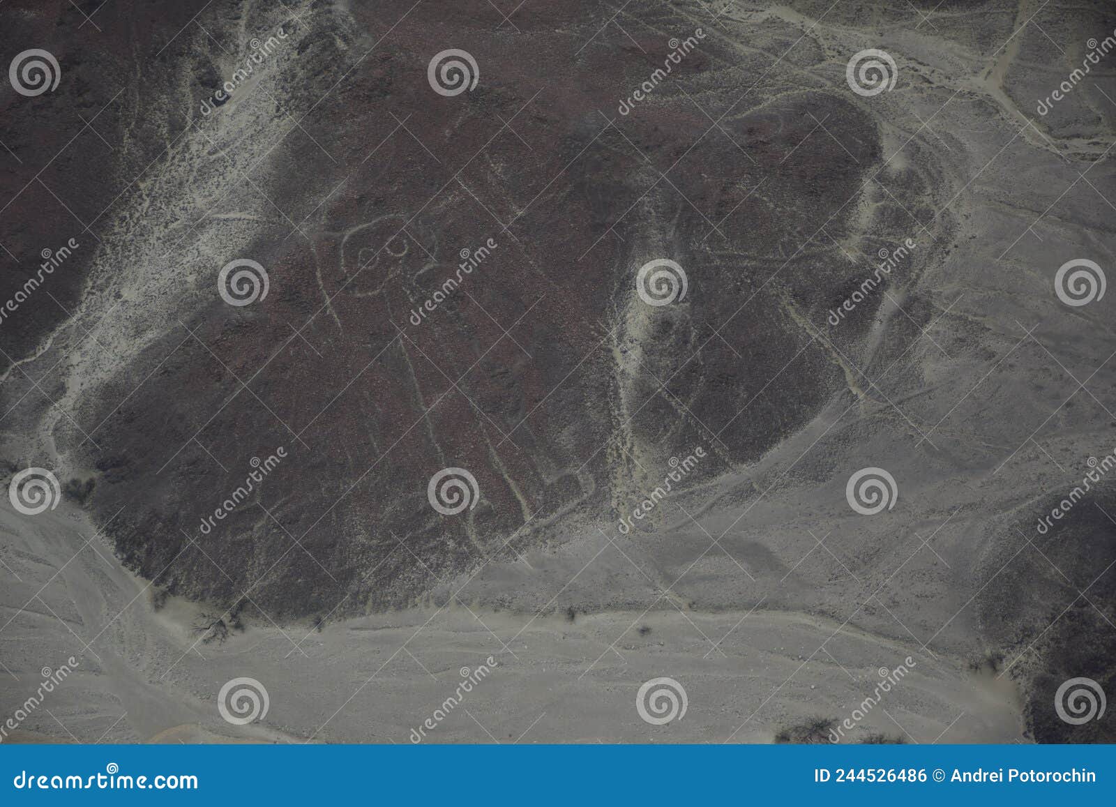 nazca line of the astronaut . ancient geoglyph located in the nazca desert in southern peru