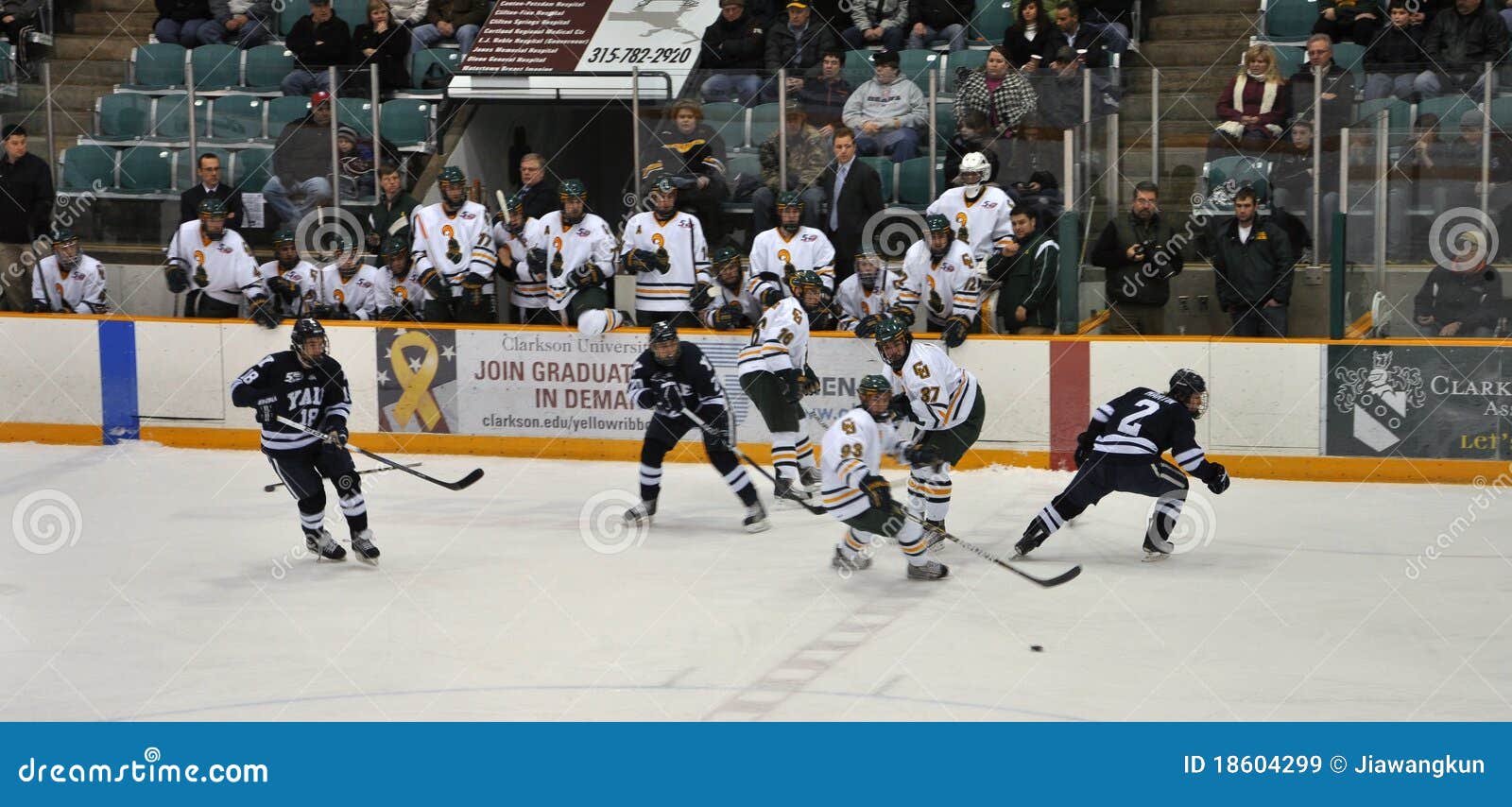 NCAA Ice Hockey Game in Clarkson University Editorial Stock Image Image of face, brown 18604299
