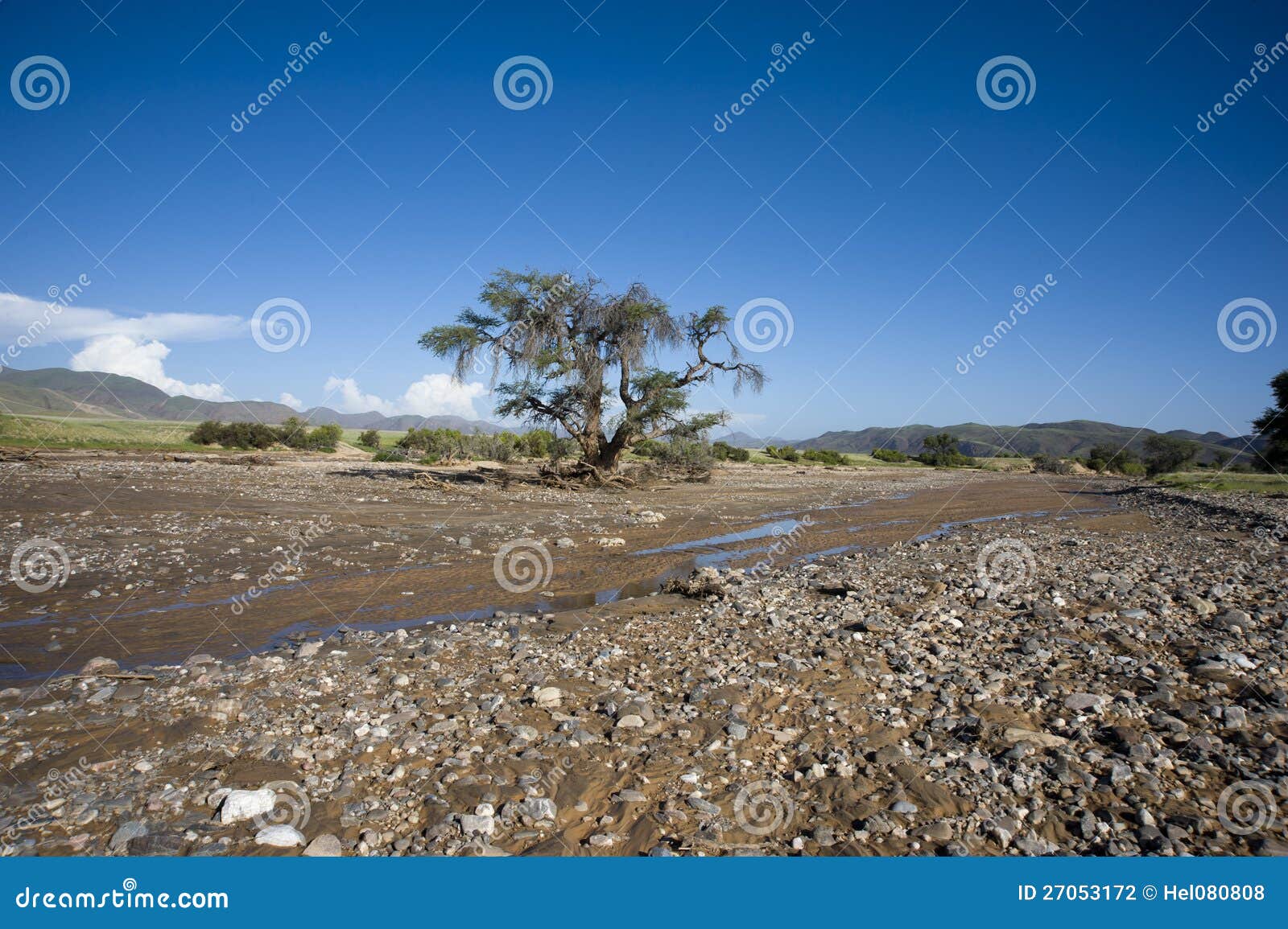 dried river in damaraland, namibia