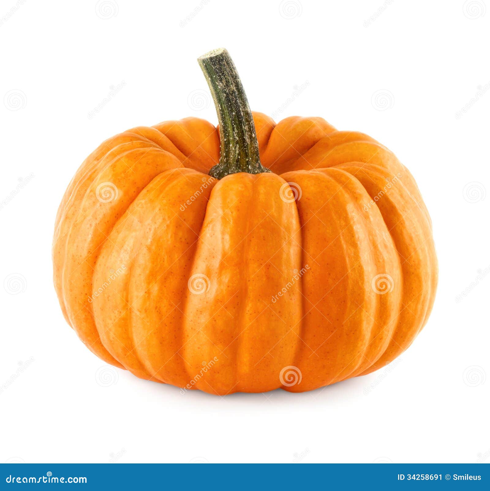 Neat pumpkin on white stock image. Image of holiday, shape - 34258691