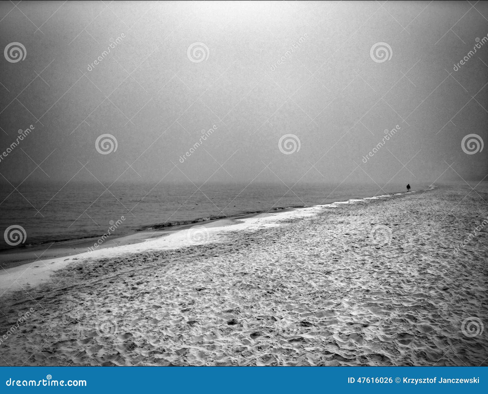 Nebbia Di Mattina Sguardo Artistico In Bianco E Nero Fotografia Stock Immagine Di Baltico Mare