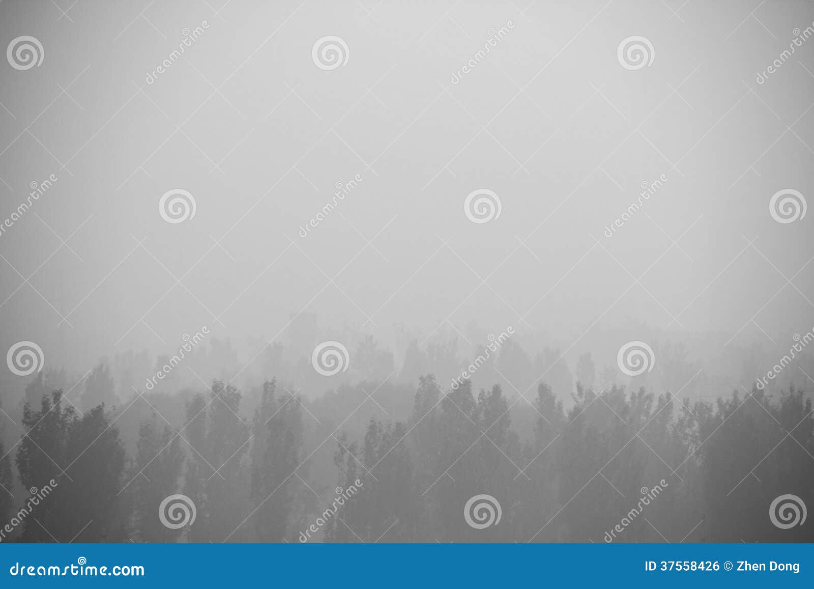 Neblina en el bosque foto de archivo. Imagen de tinta 37558426