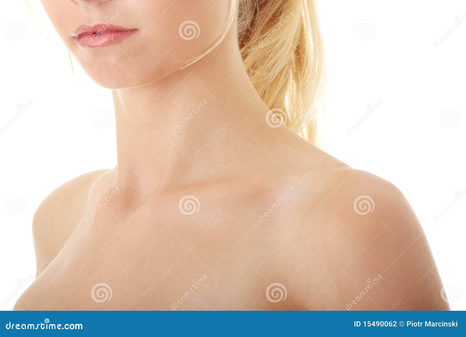 Neck stock photo. Image of body, pure, fashion, closeup 15490062