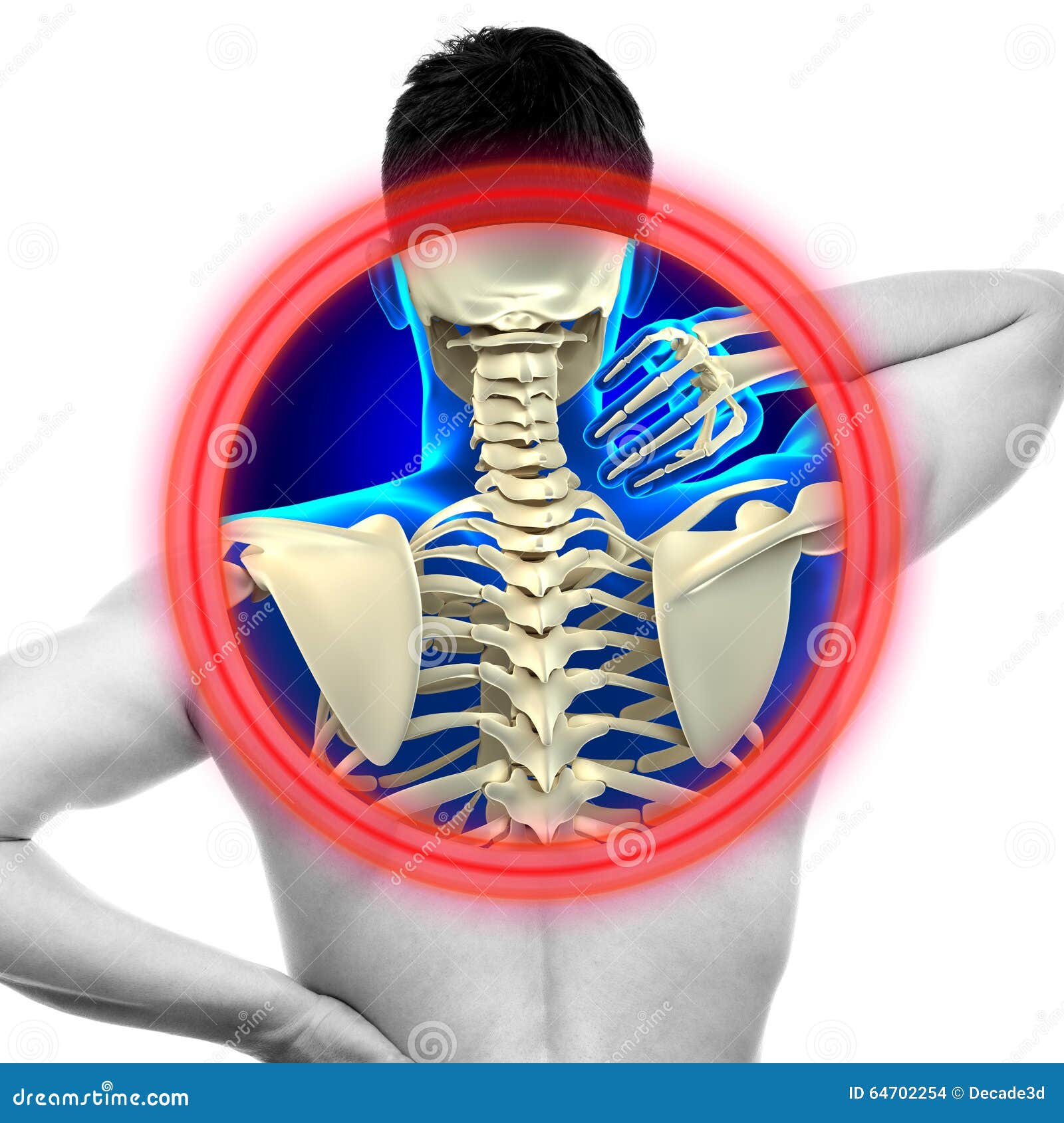 pain in cervical spine pain in cervical spine