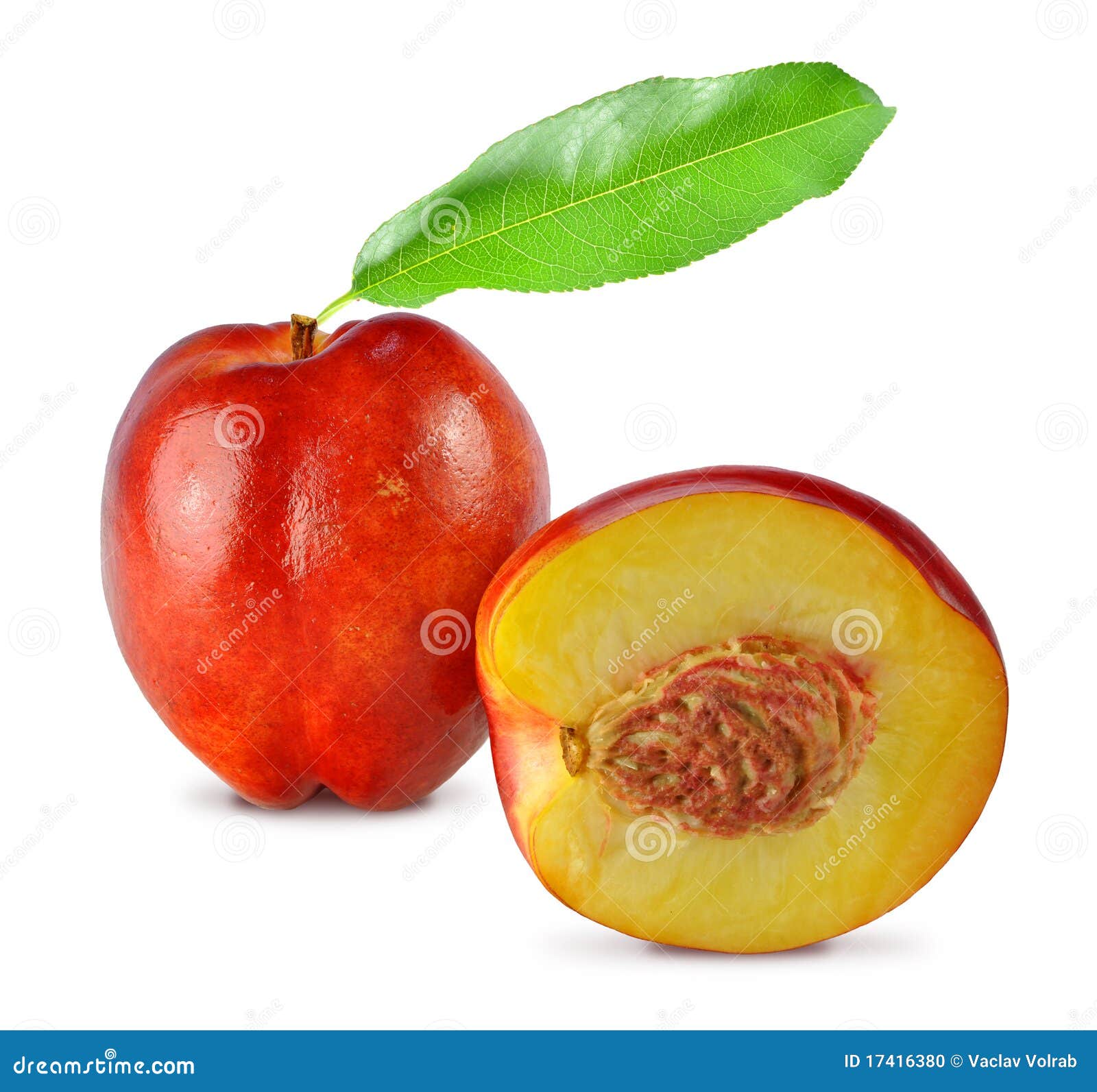 Nectarine stock photo. Image of organic, peach, vegetarian 17416380