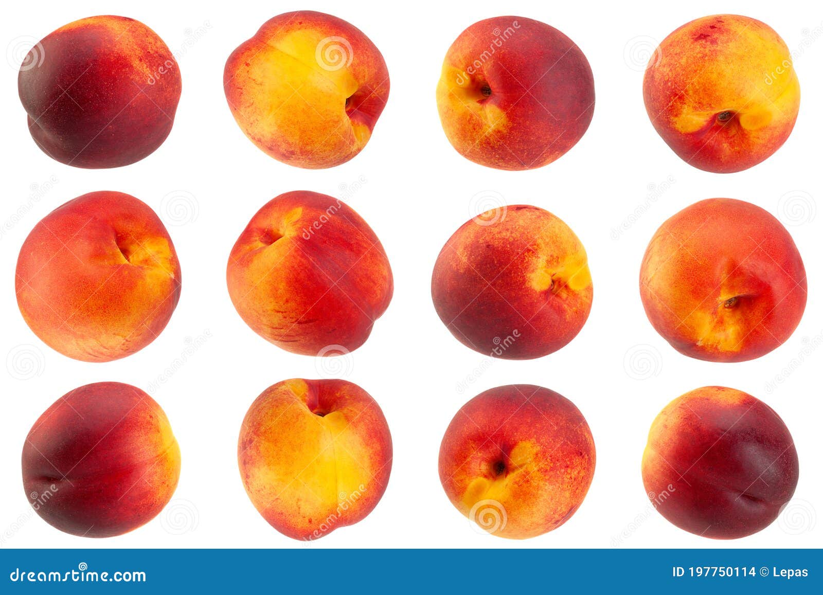Nectarine Fruit Collection on White Stock Photo Image of white