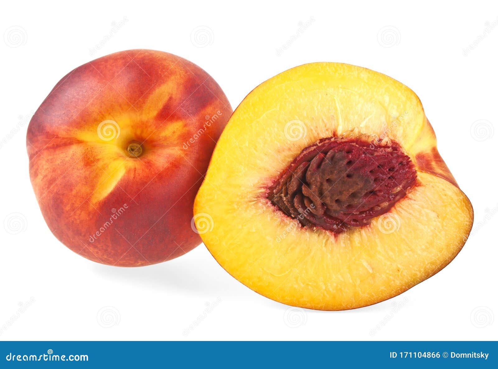Nectarine Fruit Isolated on White Background Stock Photo Image of