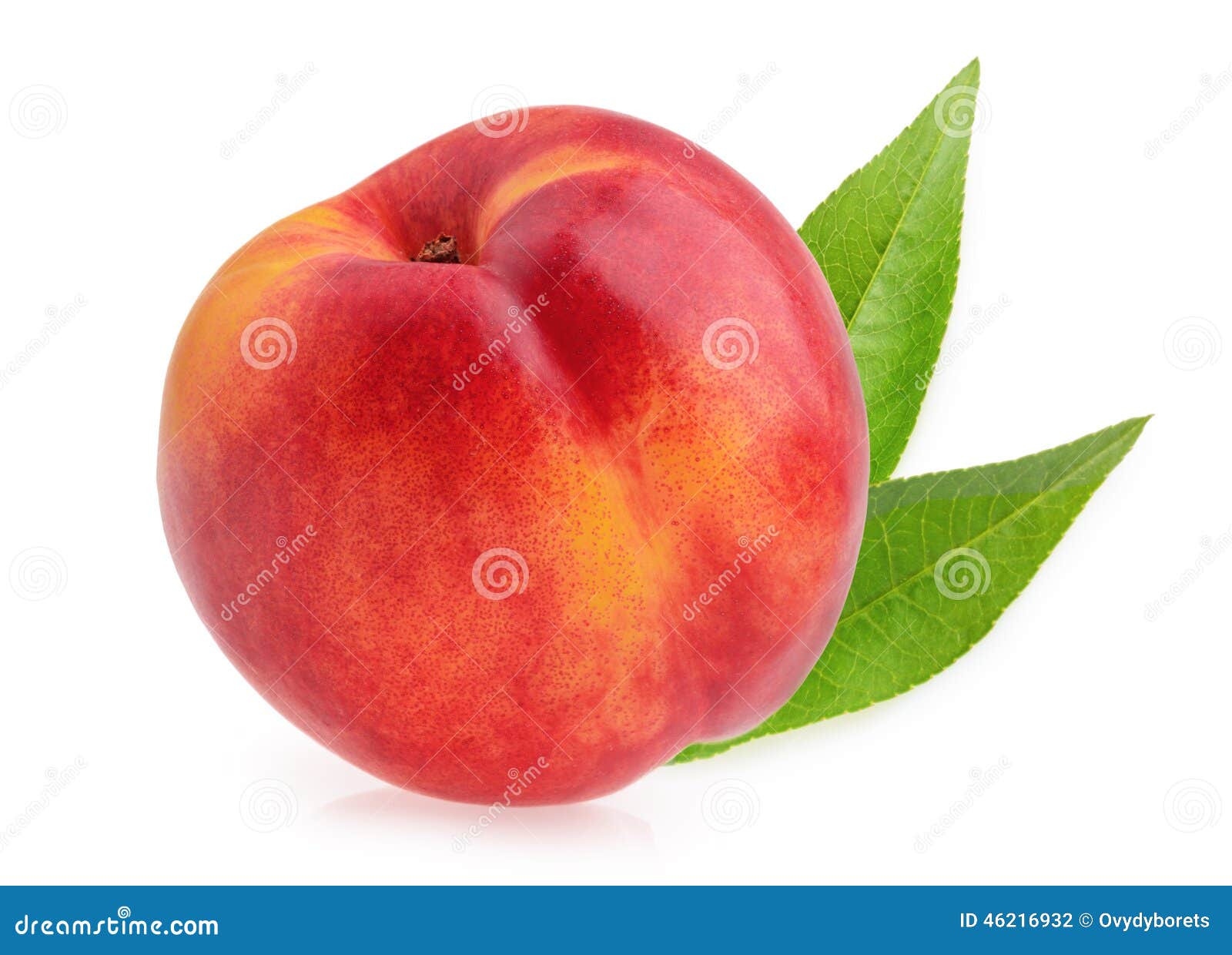 Nectarine fruit isolated stock photo. Image of slice 46216932