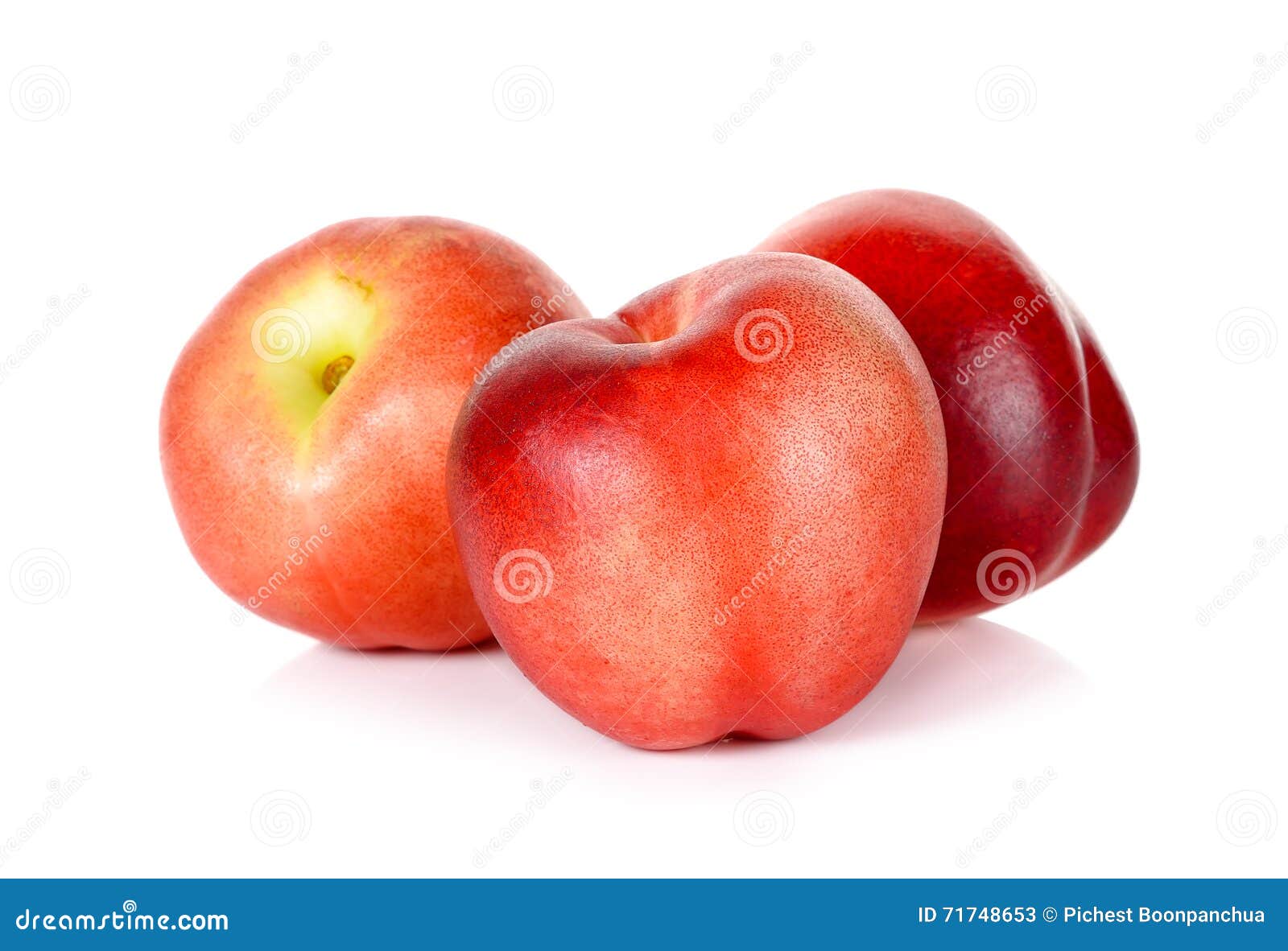 Nectarine Fruit Isolated on White Background Stock Image Image of