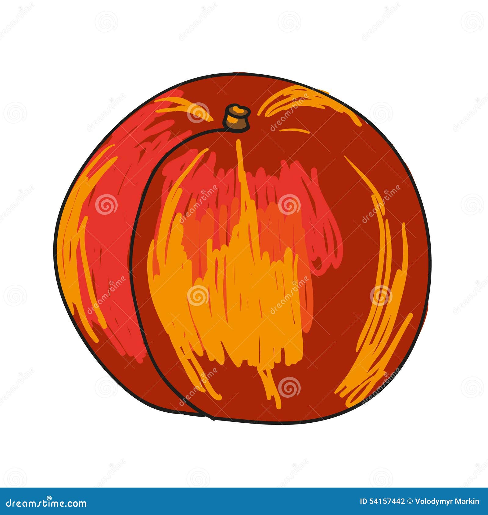 Nectarine Hand Drawn Fruits Isolated Stock Illustration