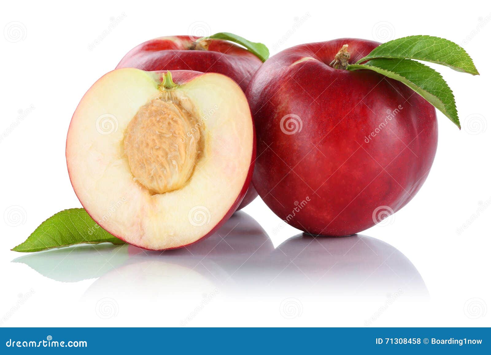 Nectarine Nectarines Fruit Fruits Isolated on White Stock Photo Image of organic, fruits 71308458