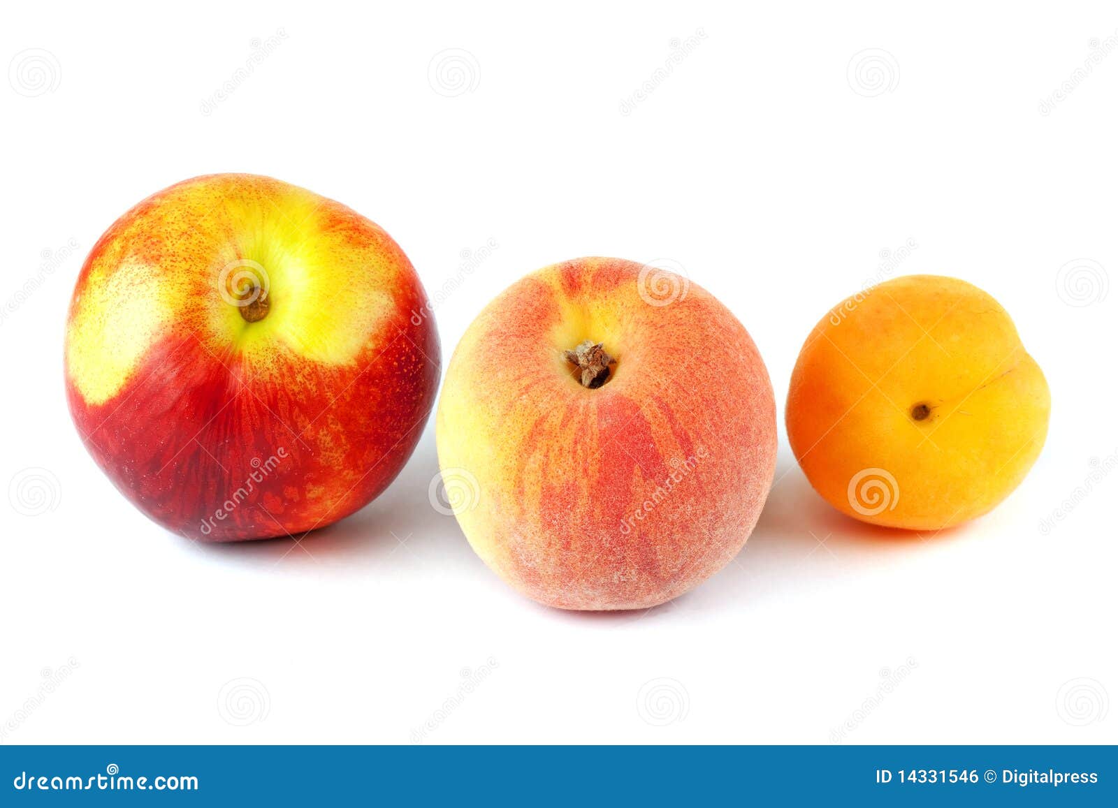 Nectarine, Peach and Apricot Stock Photo Image of food, pomes 14331546