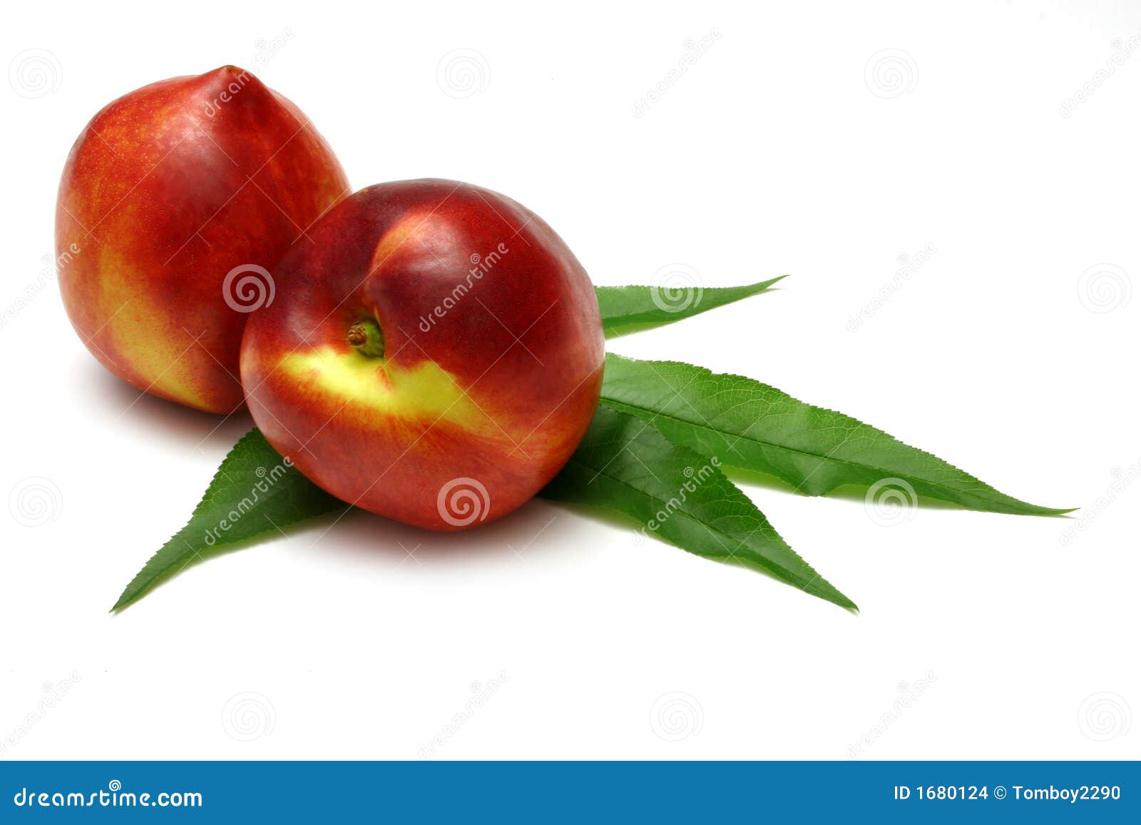 Nectarines stock photo. Image of nectarine, delicious 1680124