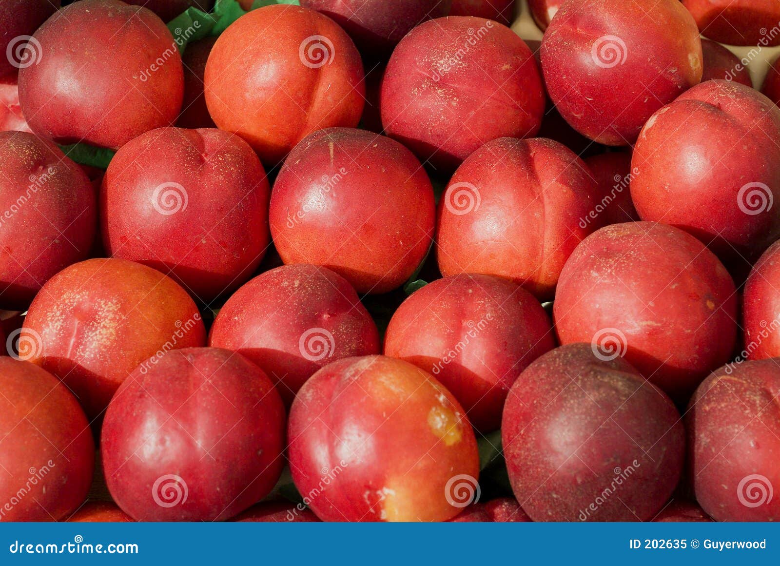 Nectarines stock image. Image of round, french, nutrition 202635