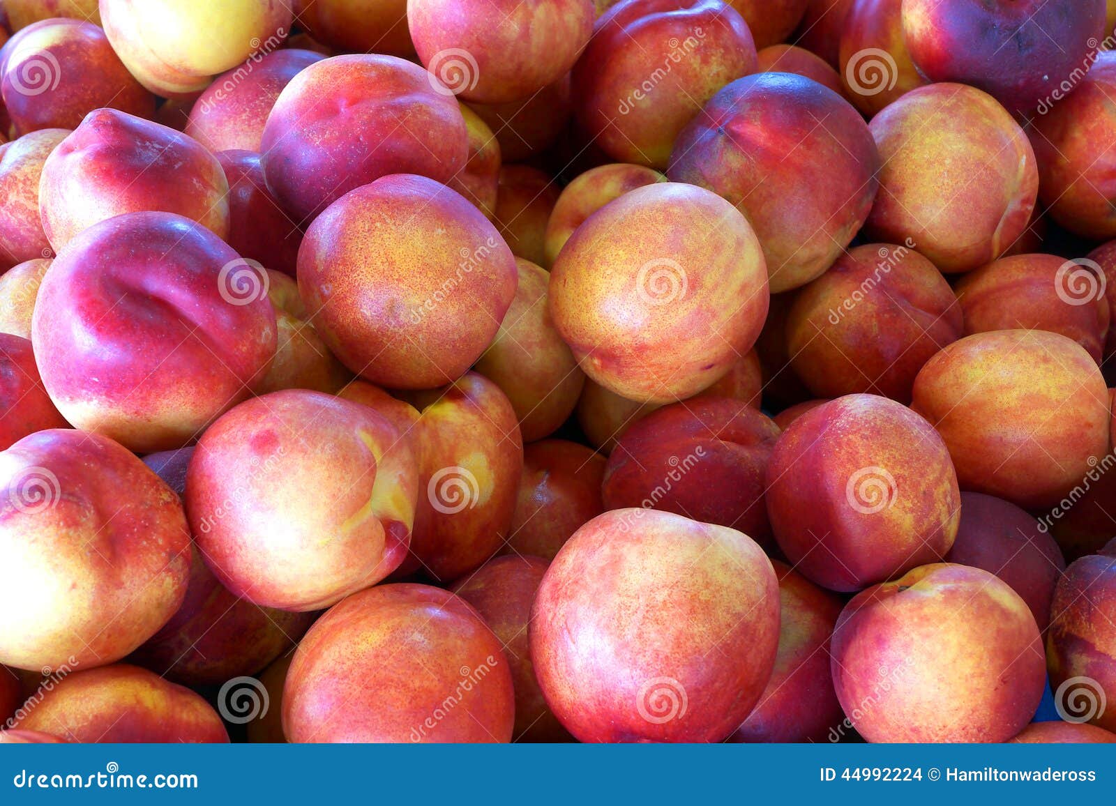Nectarines stock photo. Image of market, seasonal, autum 44992224