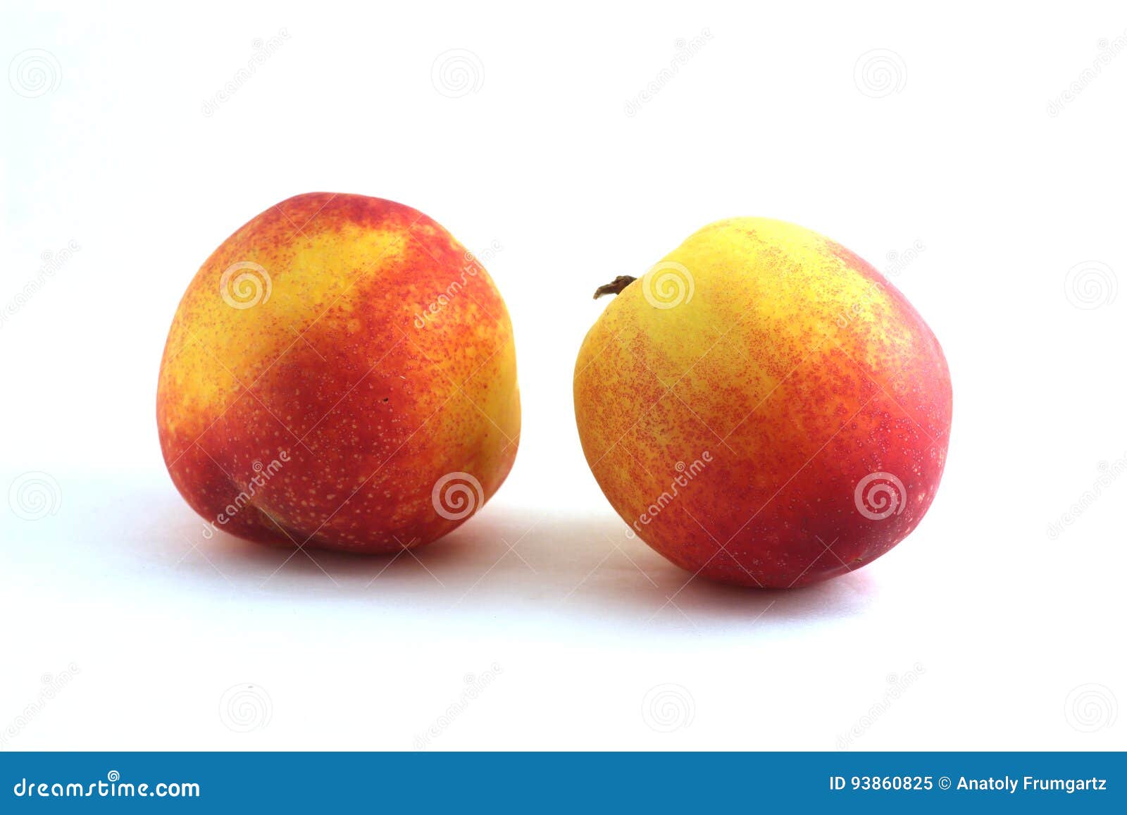 Nectarines Isolated on White Background Stock Image Image of healthy