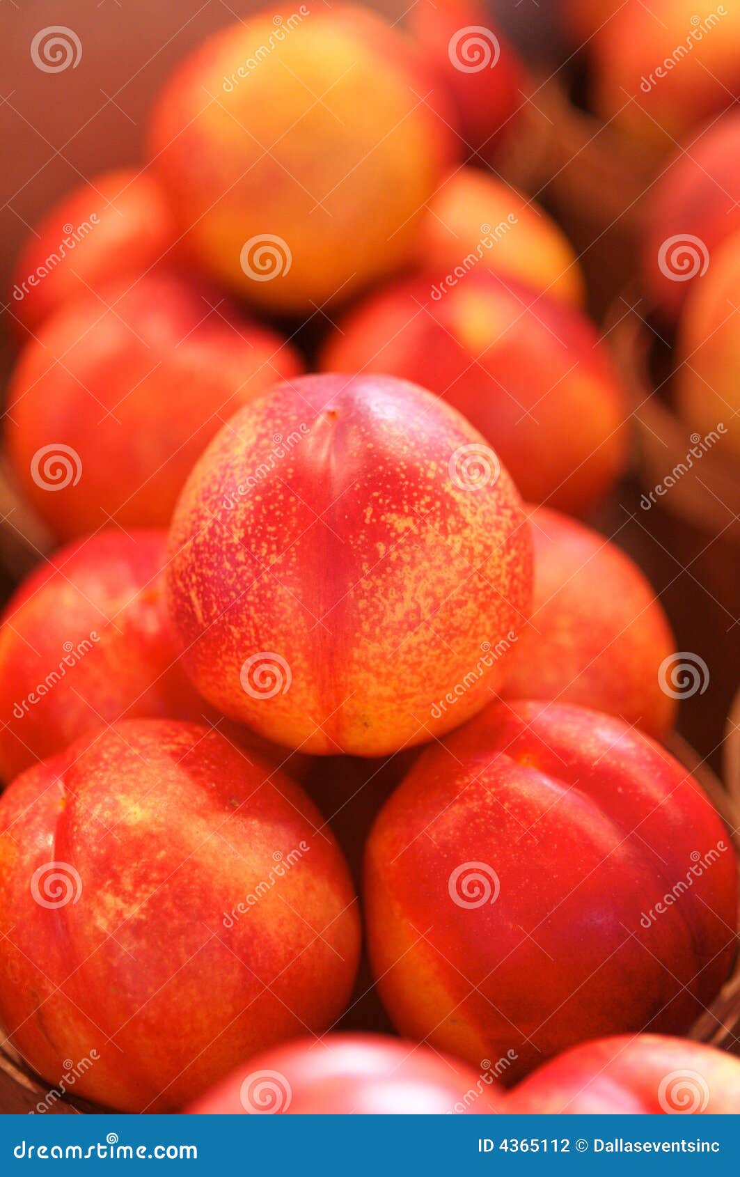 Nectarines for Sale on a Market Stock Photo Image of colored, freshness 4365112