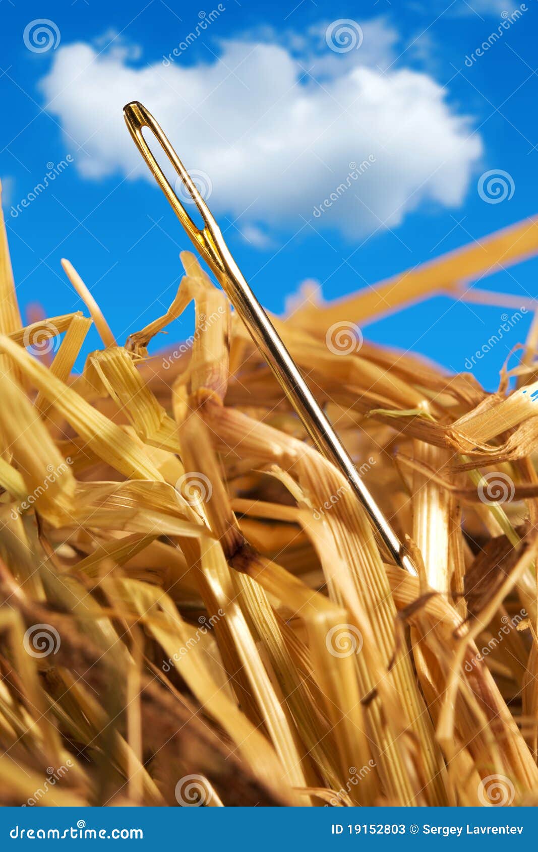 Needle in a Haystack by Ernesto Mallo Needle in a Haystack by Ernesto Mallo