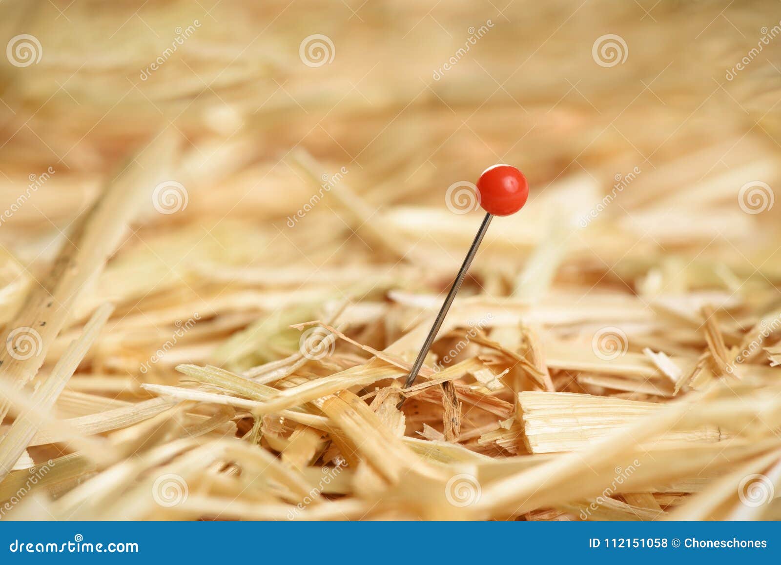 Needle in a Haystack by Ernesto Mallo Needle in a Haystack by Ernesto Mallo