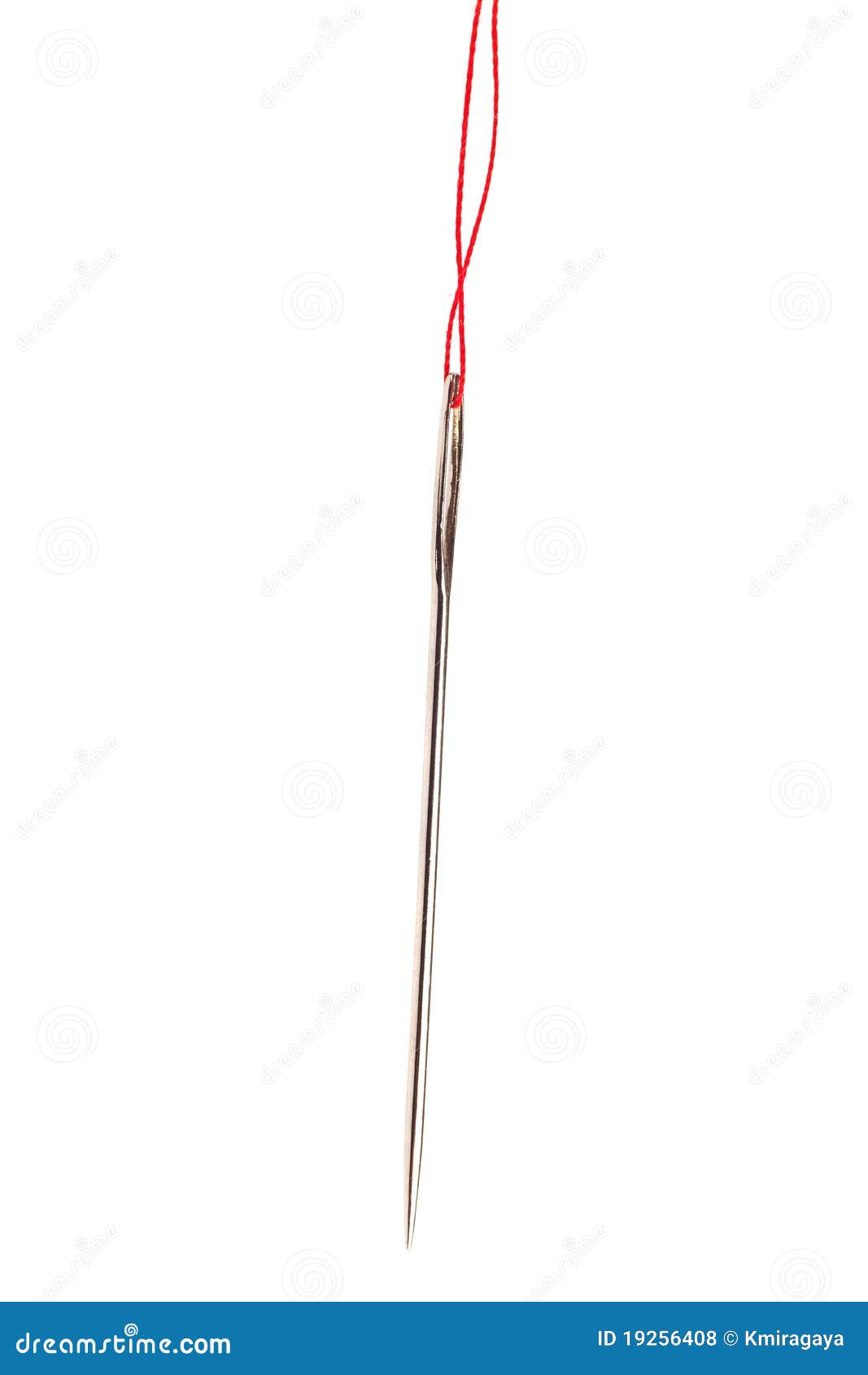 Needle with Red Thread Isolated on White Stock Photo - Image of ...