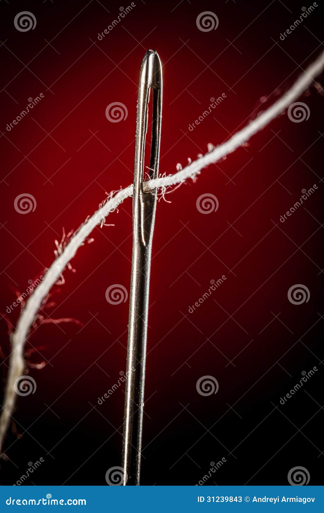 Needle with thread stock image. Image of tool, sharp - 31239843