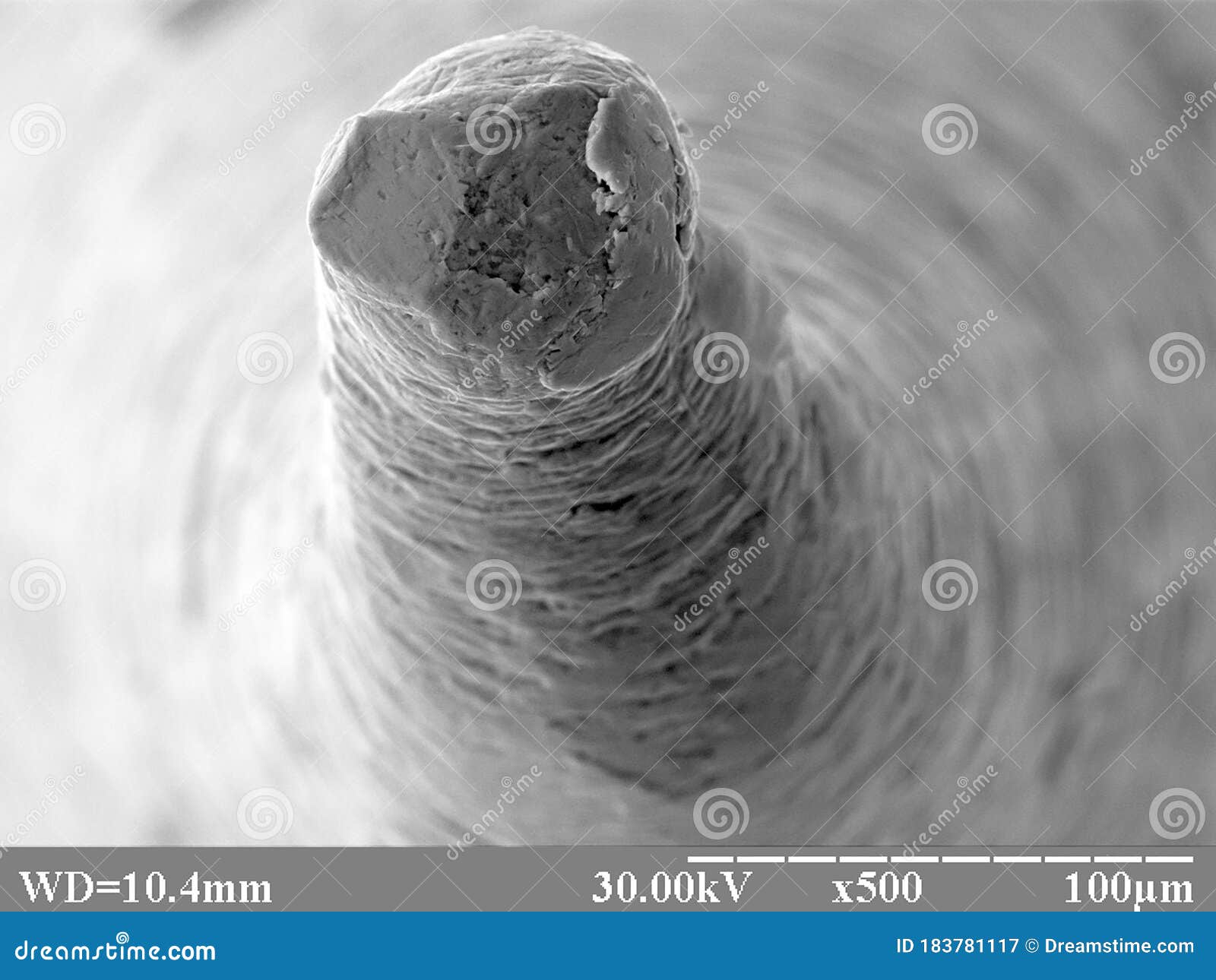 Needle Tip Surface Structure 4 Stock Image Image of macroworld