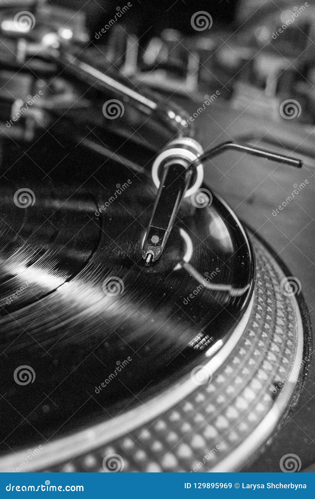 Needle On A Vinyl Record Close Up Stock Image Image Of Player Record Needle On A Vinyl Record Close Up Stock Image Image Of Player Record