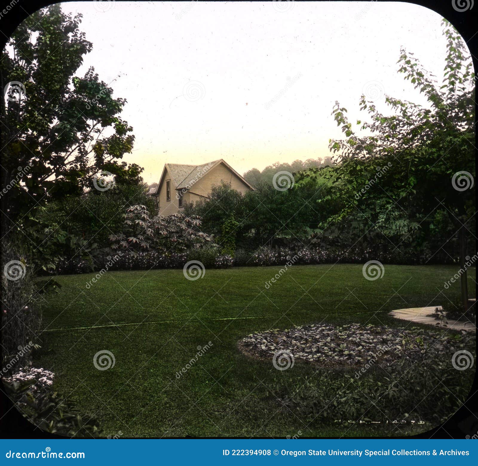 My Image 31