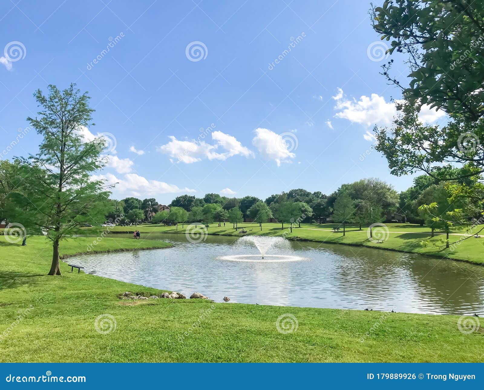 Beautiful sunny panorama of big lake with small fountains at center and  green trees and bushes around in city South park Stock Photo - Alamy