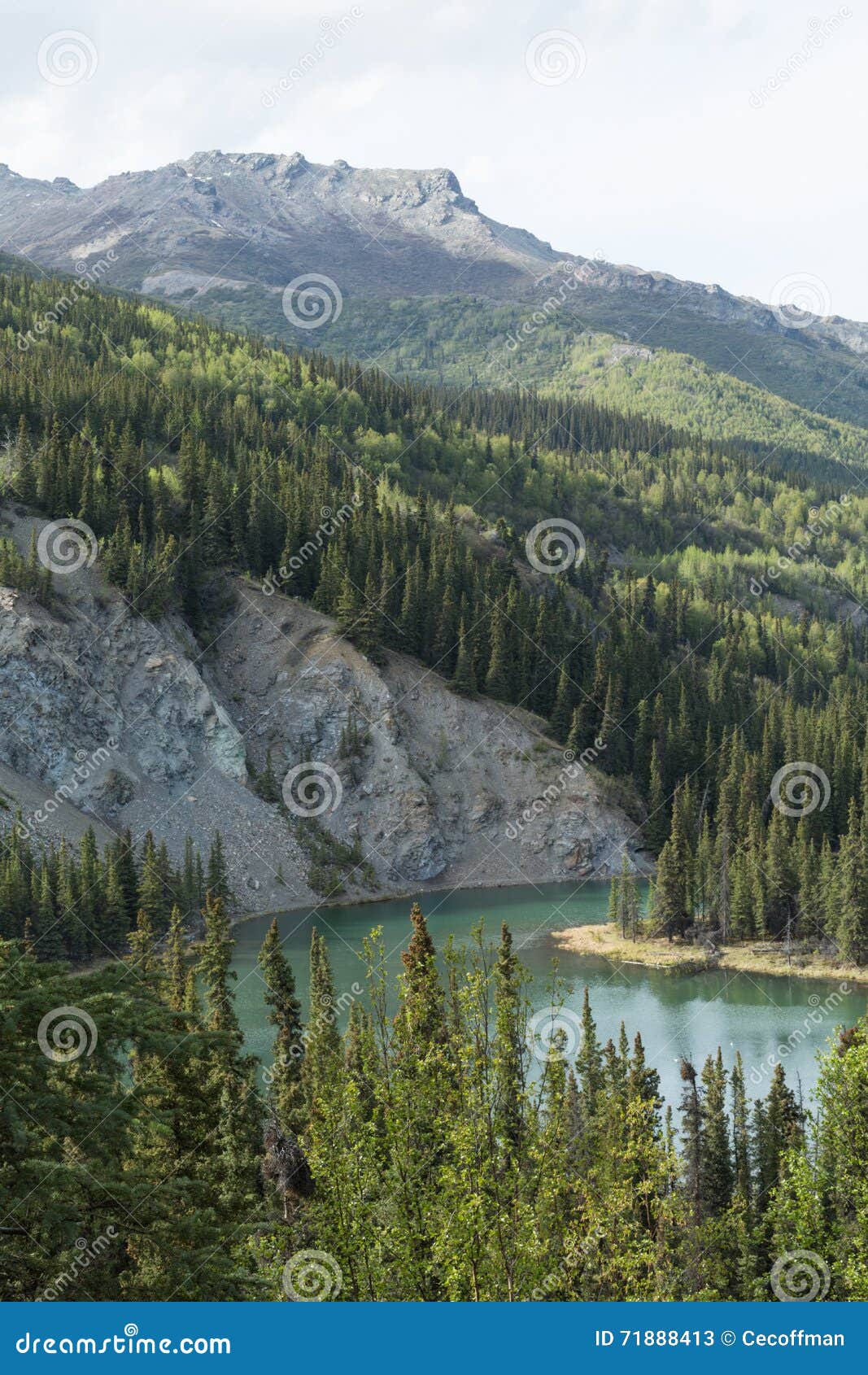 The Nenana River stock image. Image of regions, vacation 71888413