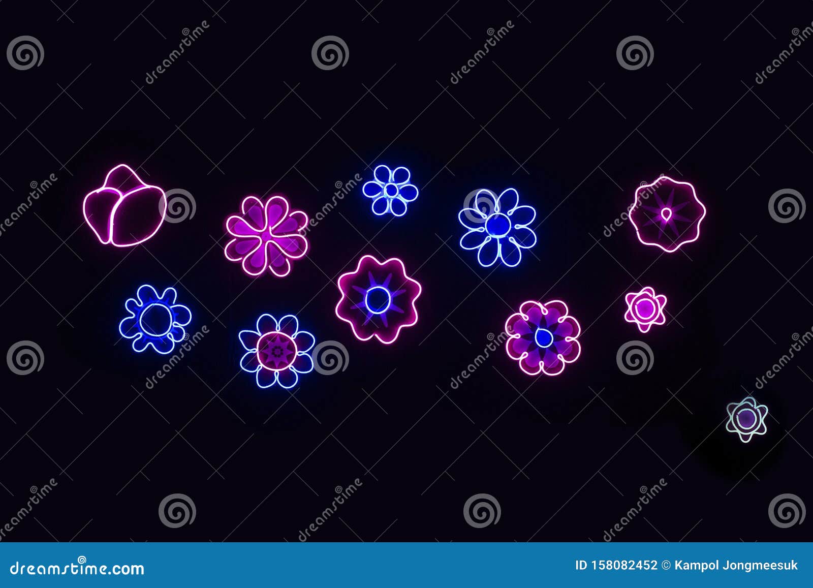 Neon Black Flower, Reflective Colorful Display Stock Photo - Image of ...