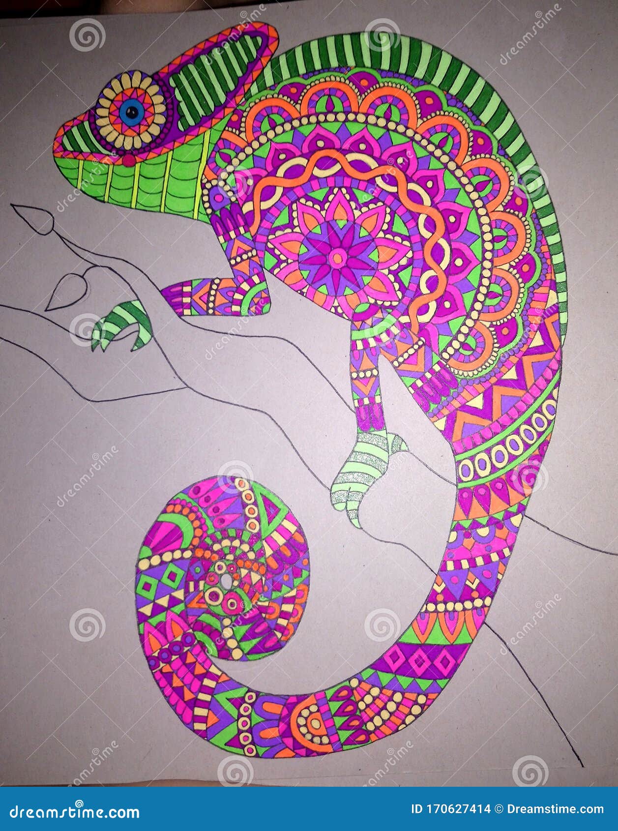 Neon Chamaleon Mandala Stock Photo Image Of Chamleon