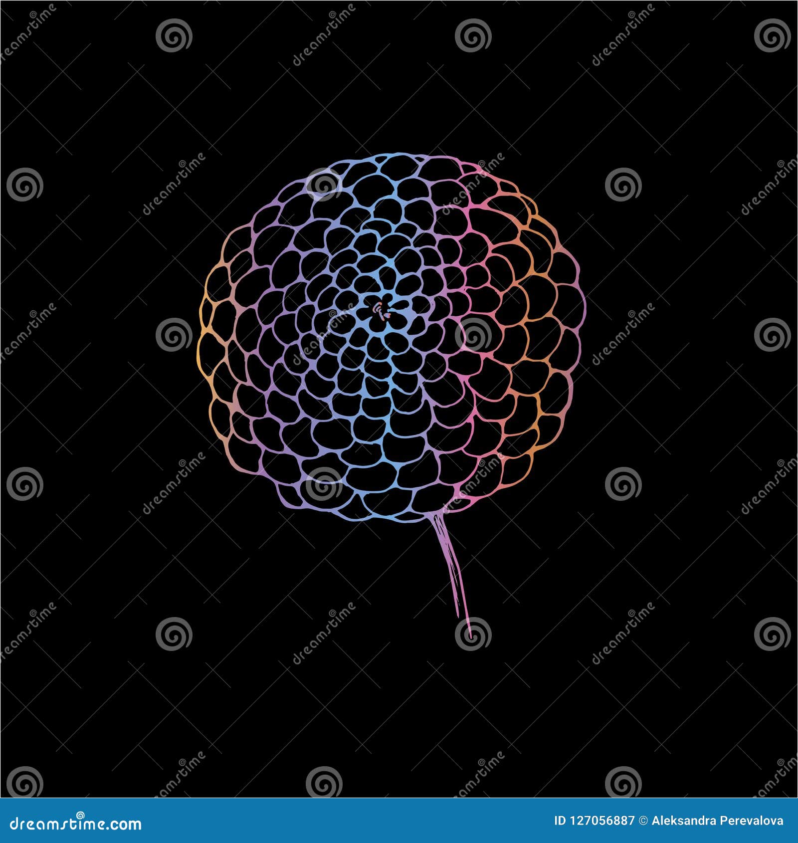 Neon Picture Of A Dahlia Flower The Idea For A Tattoo Stock Vector Illustration Of Natural Beautiful 127056887