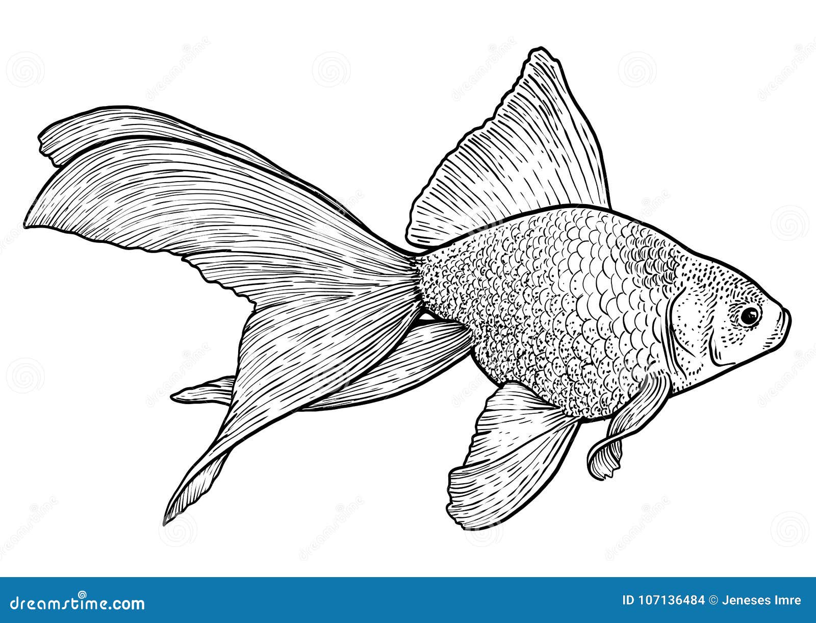 Draw a Fish: Pen and Ink Drawing with Digital Painting