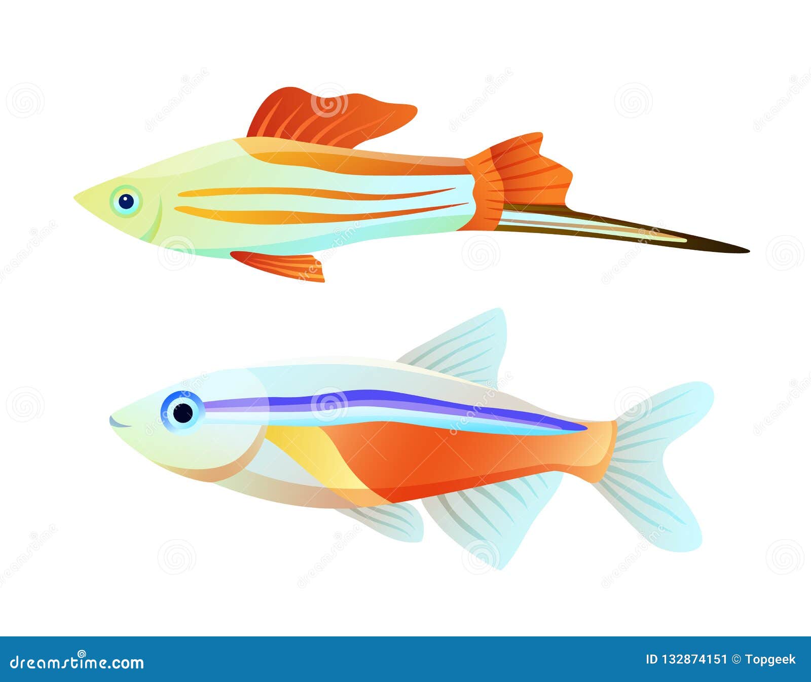https://thumbs.dreamstime.com/z/neon-tetra-swordtail-fish-isolated-white-freshwater-aquarium-pets-silhouette-icon-blank-background-cartoon-style-vector-132874151.jpg