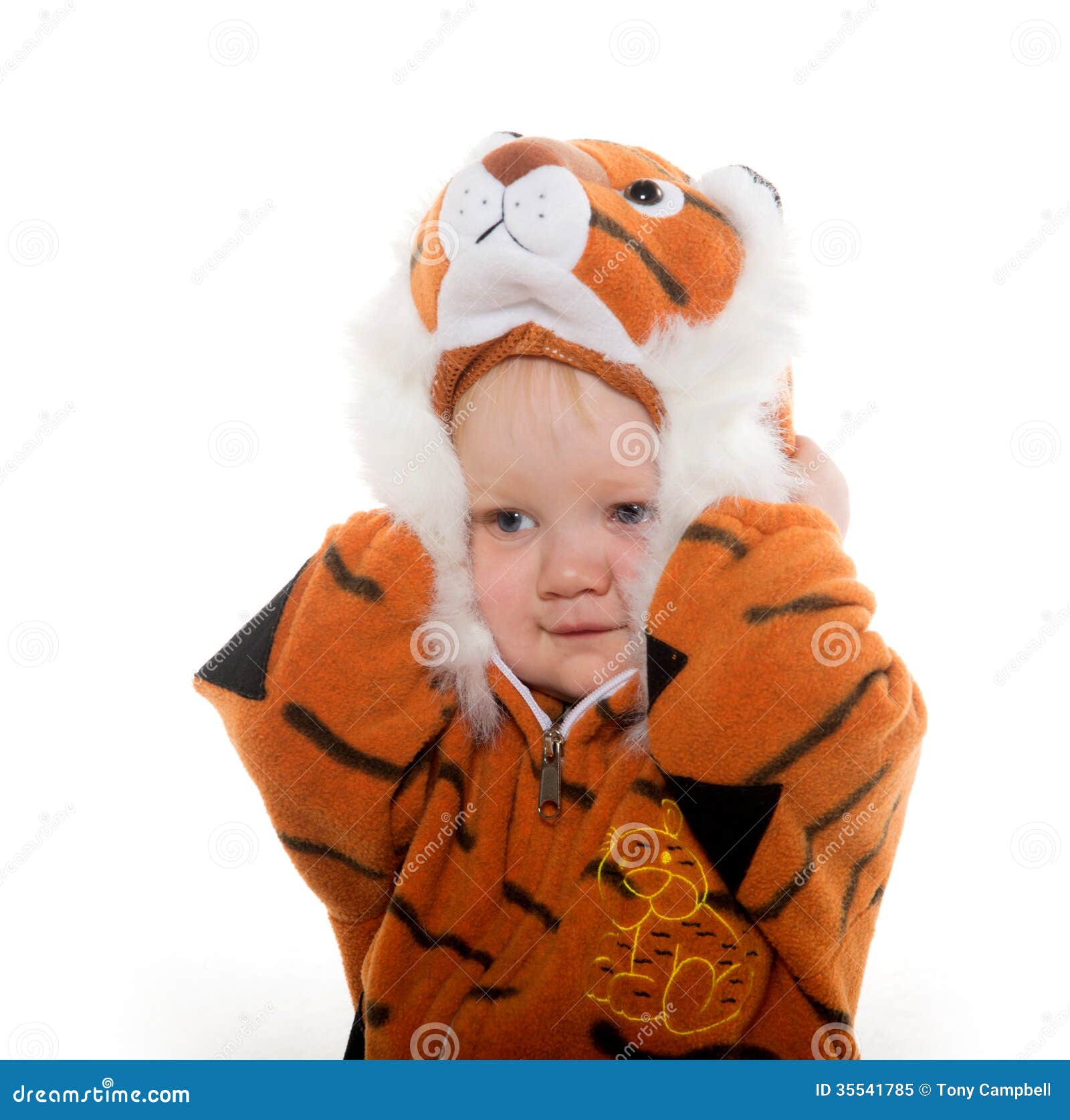 Neonato in Costume Della Tigre Immagine Stock - Immagine di costume,  attrezzatura: 35541785