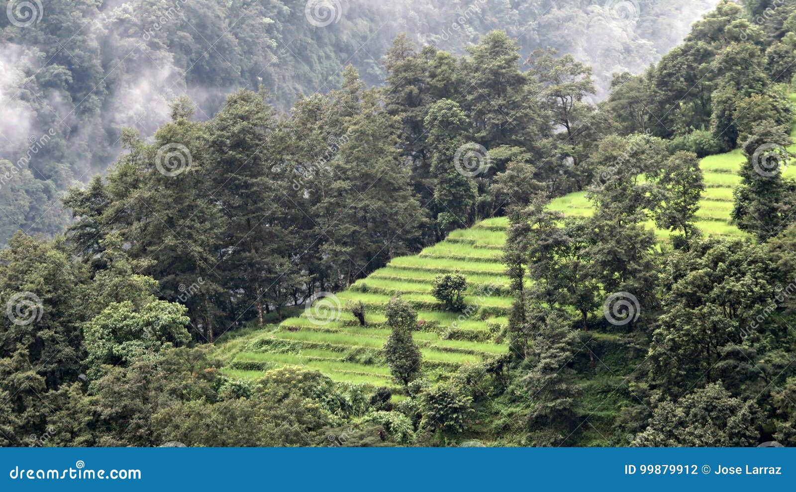 nepal