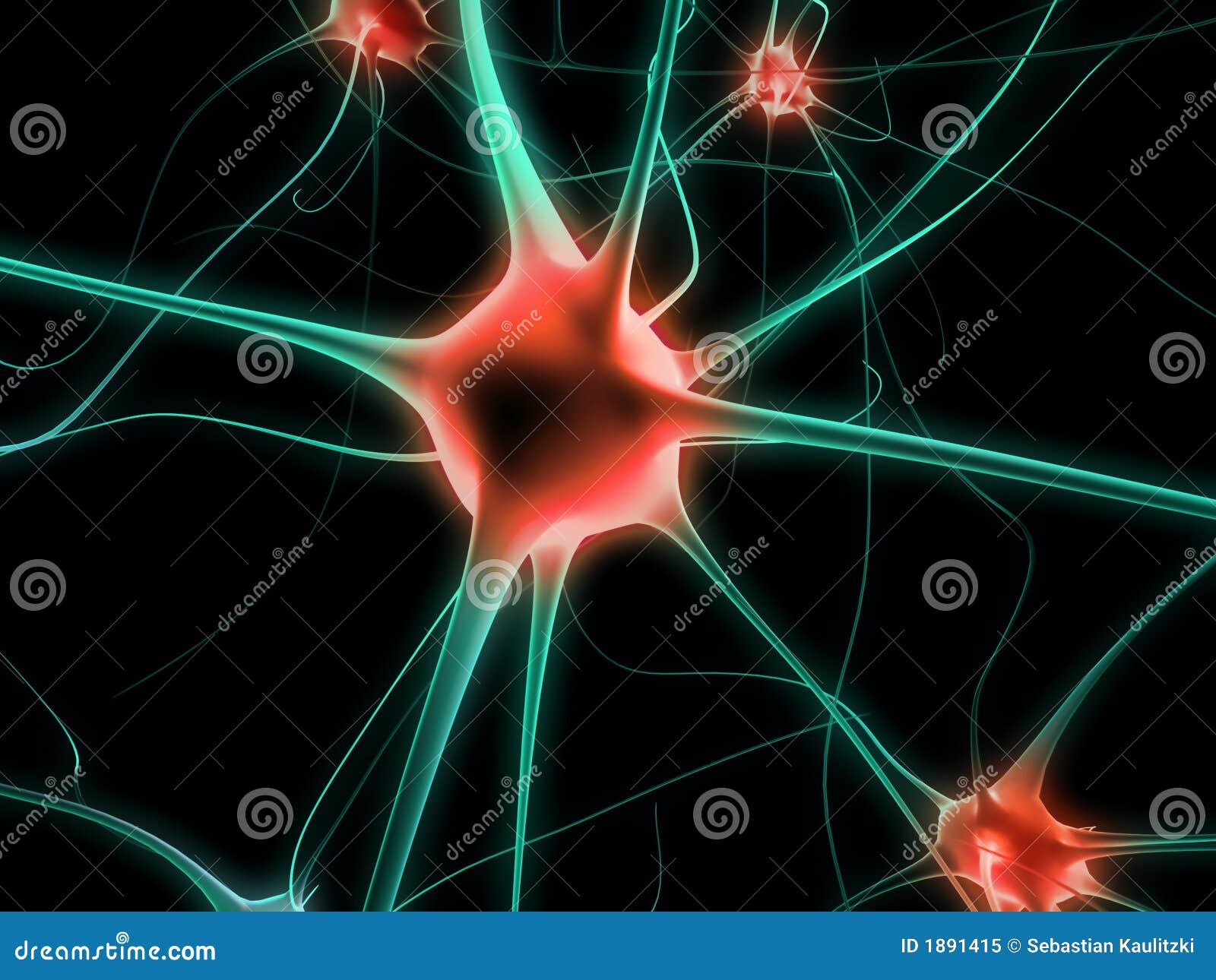 nerve cell