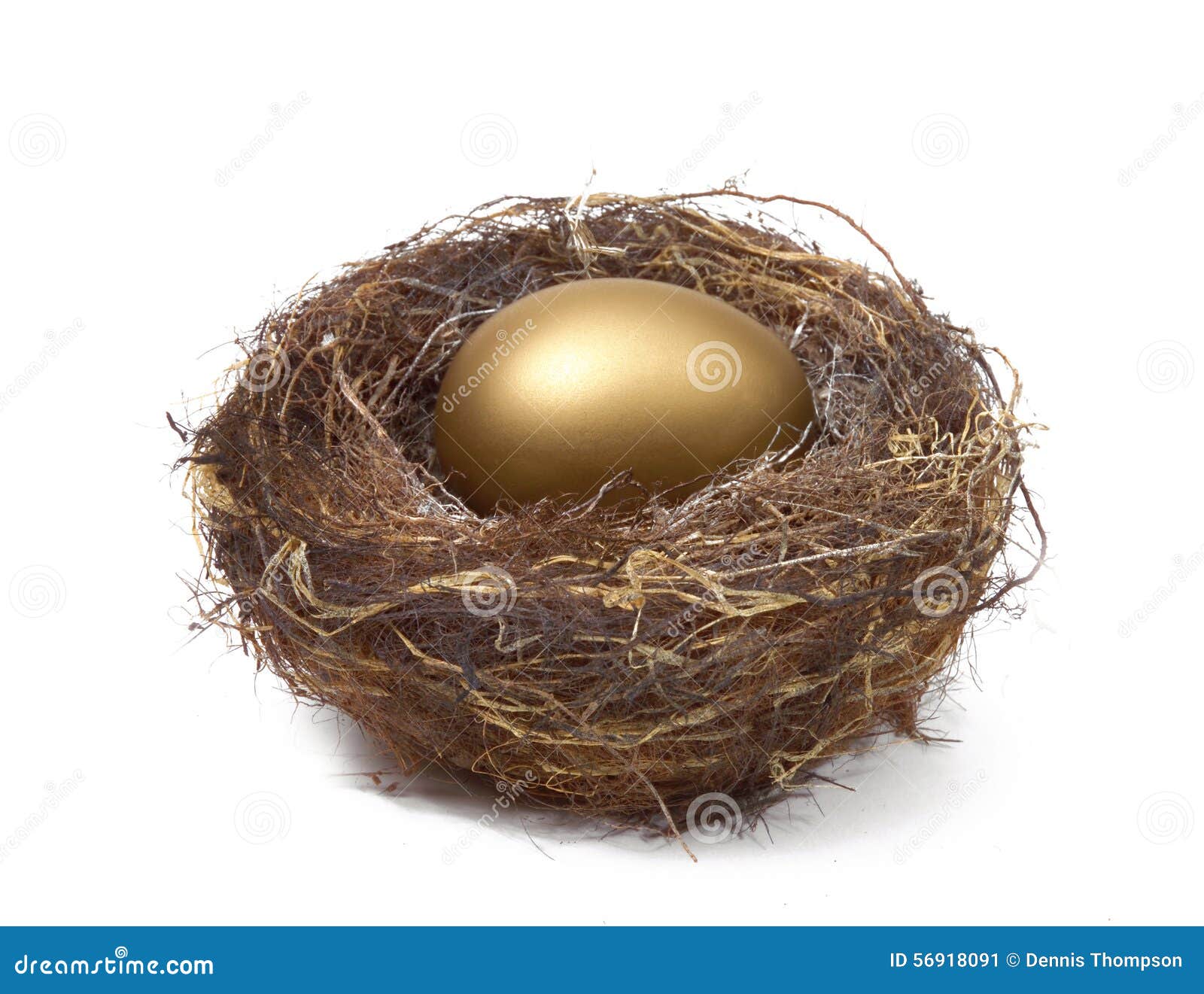 nest egg saving estate retirement fund financial wealth planning