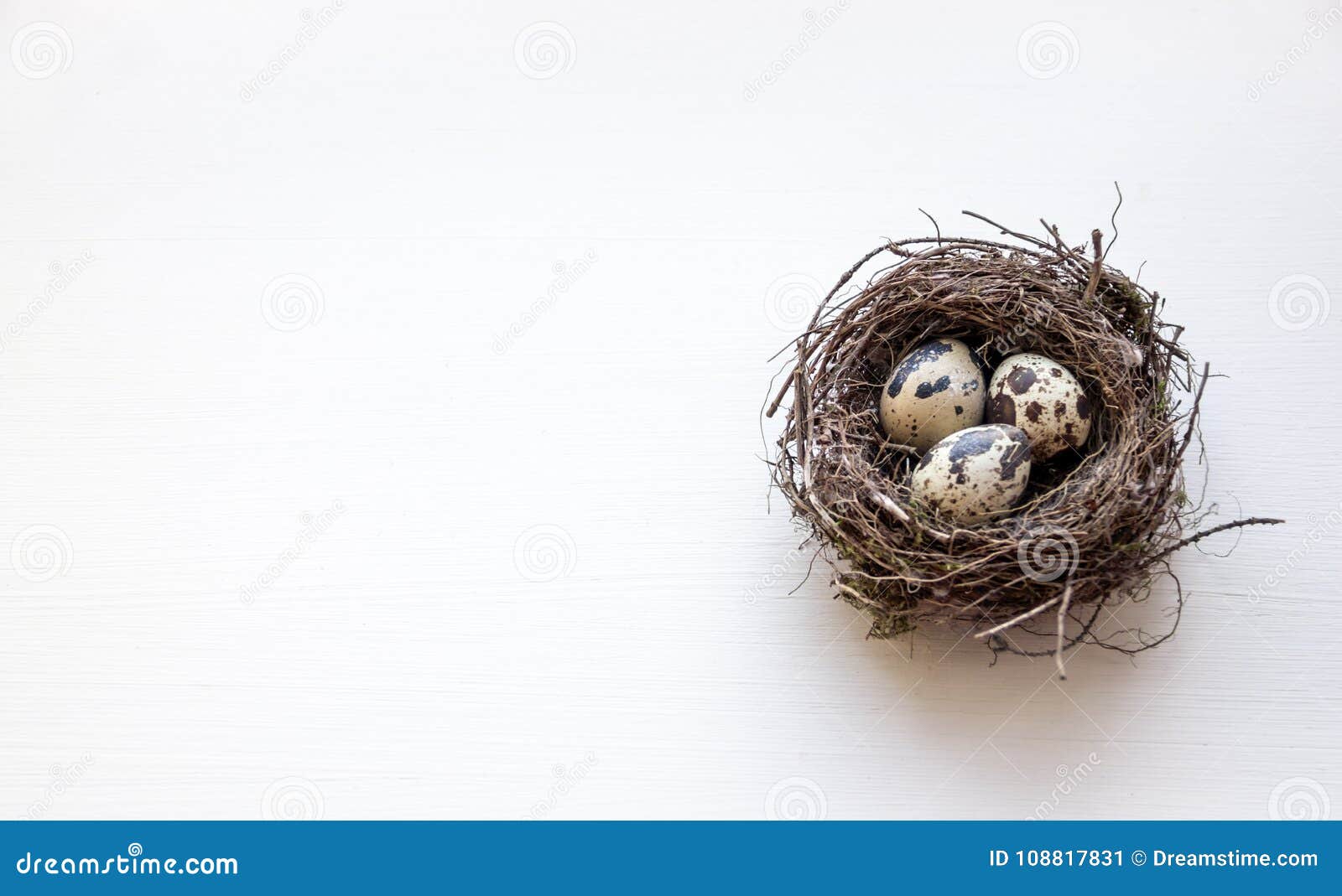 a nest with three quail eggs on a business table